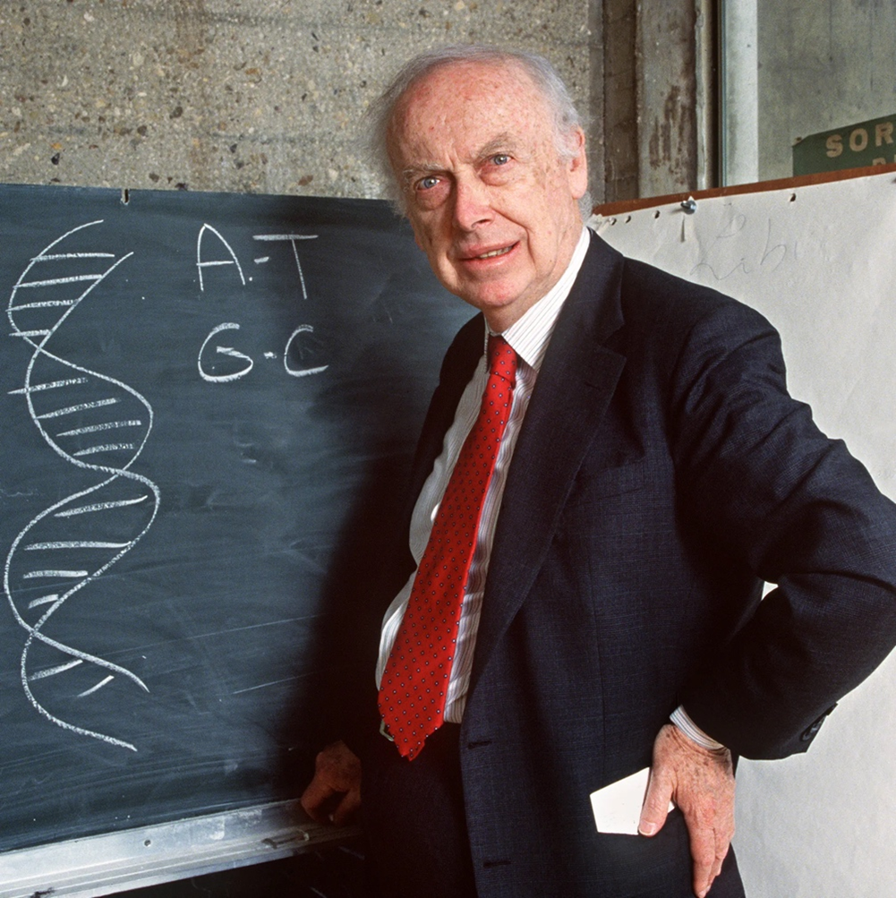 A portrait of James D. Watson